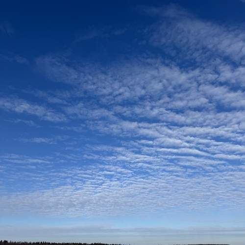 Photo #13744960