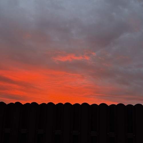 Photo #13744990