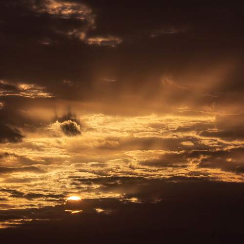 Photo #13744996