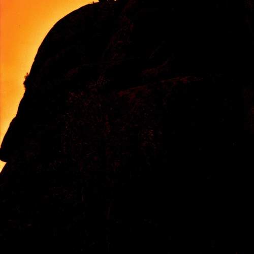 Photo #13745027