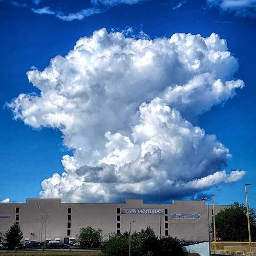 Photo #13745057