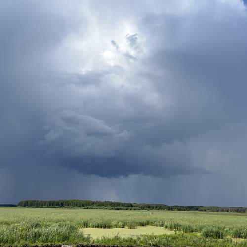 Photo #13745058