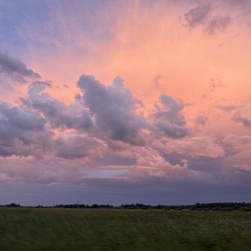 Photo #13745059
