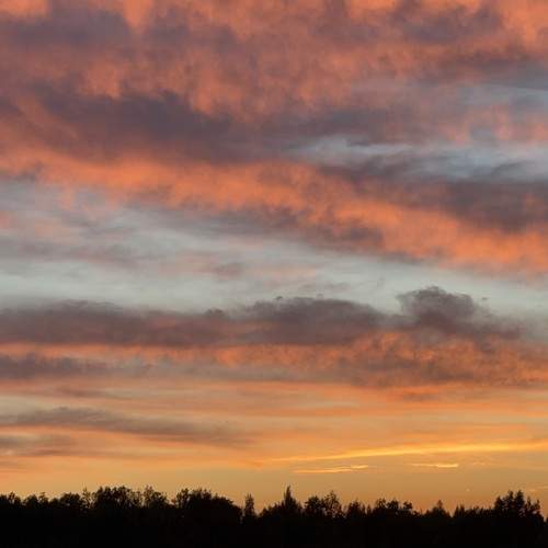 Photo #13745066