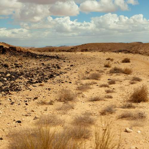 Photo #13745077