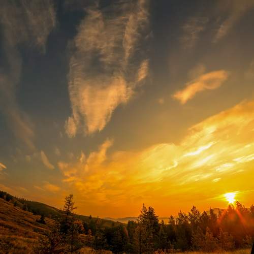 Photo #13745088