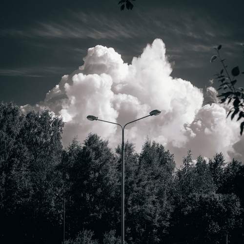 Photo #13745100