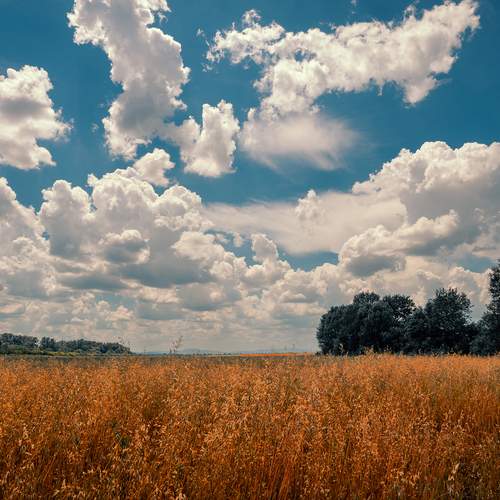 Photo #13745152
