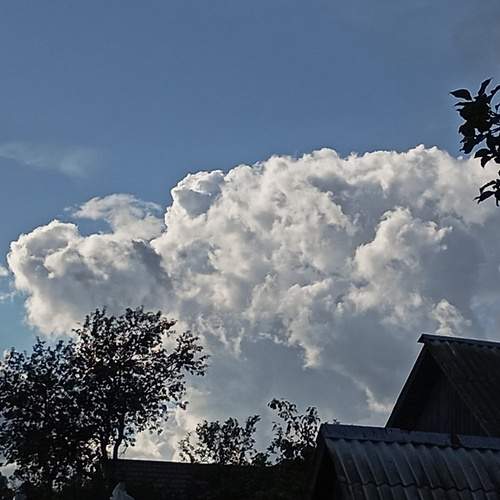 Photo #13745154