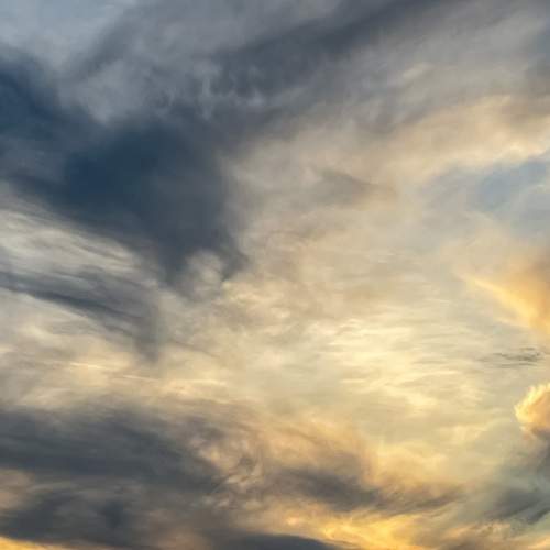 Photo #13745182