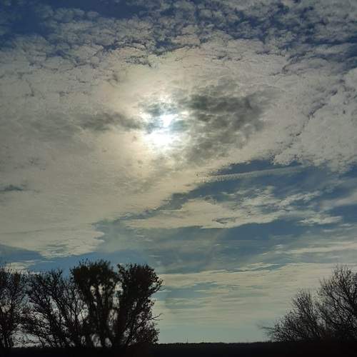 Photo #13745195
