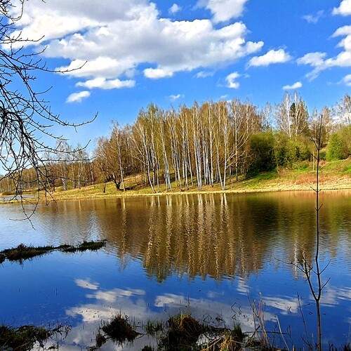 Photo #13745200