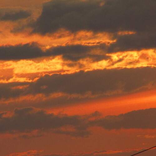 Photo #13745205