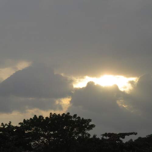 Photo #13745209