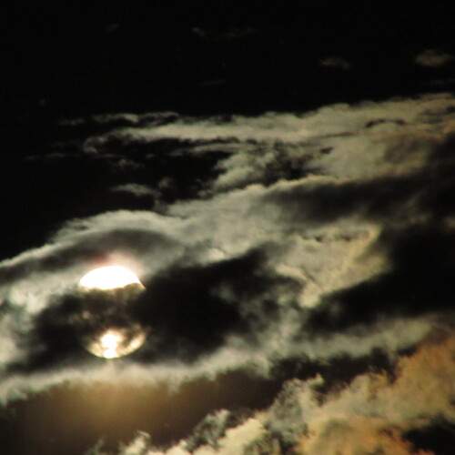 Photo #13745216