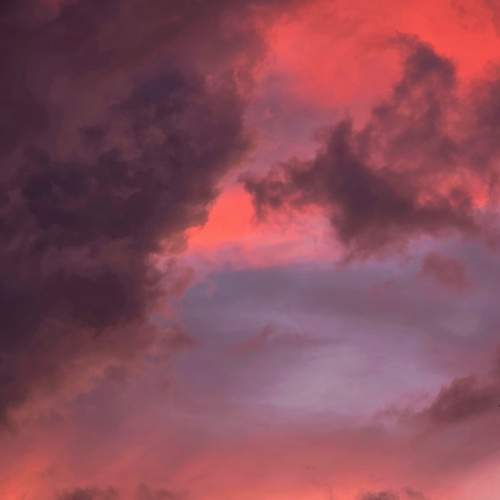 Photo #13745243