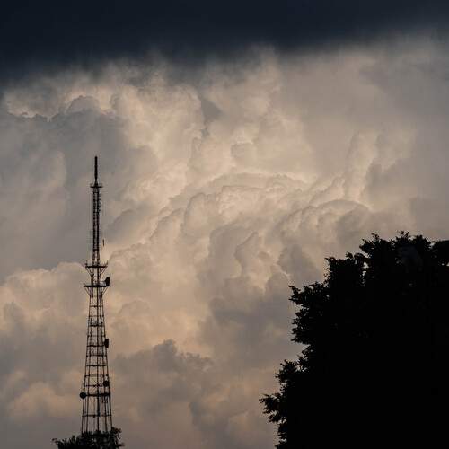 Photo #13745248