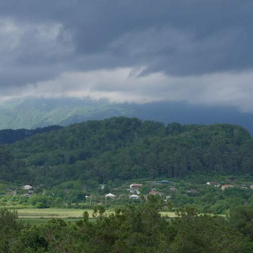 Photo #13745270