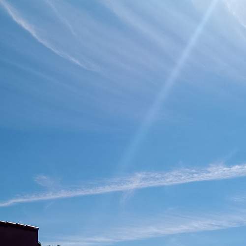 Photo #13745271