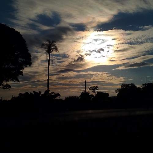 Photo #13745276