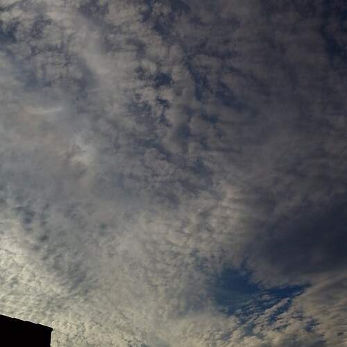Photo #13745279