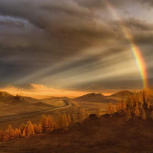 Photo #13745283