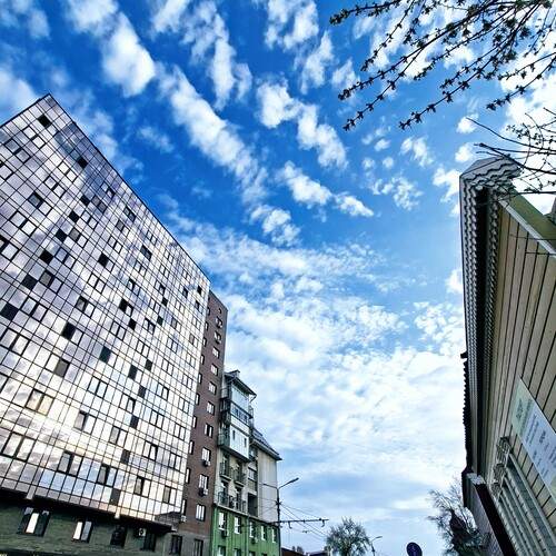 Photo #13745303