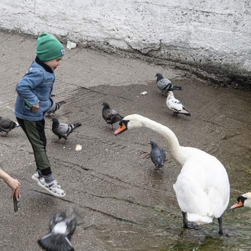 Photo #13745320