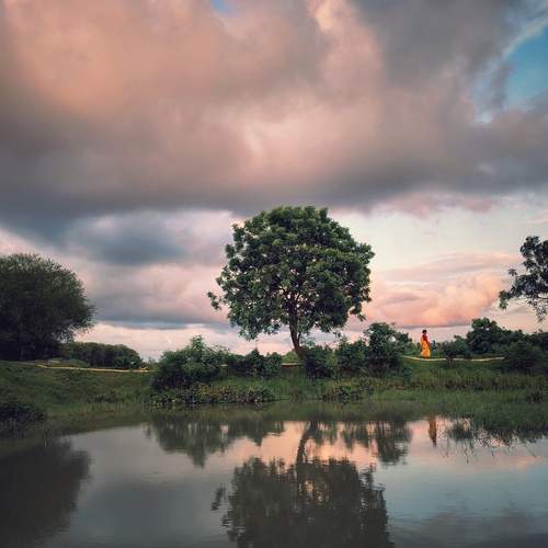 Photo #13745366