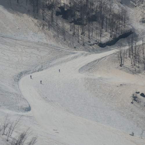 Photo #13745388