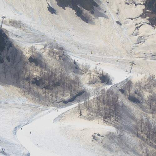 Photo #13745414