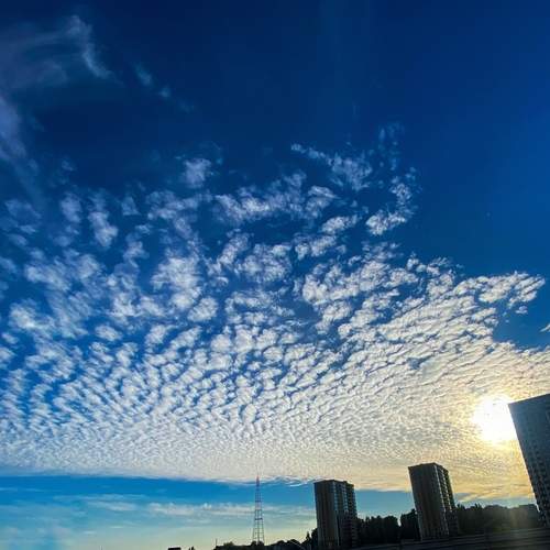 Photo #13745431
