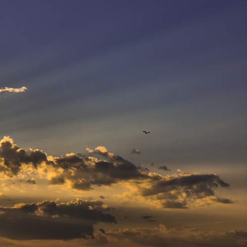 Photo #13745454