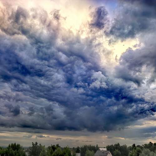 Photo #13745530