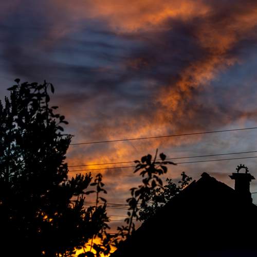 Photo #13745533