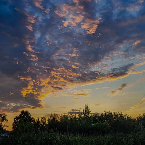 Photo #13745549