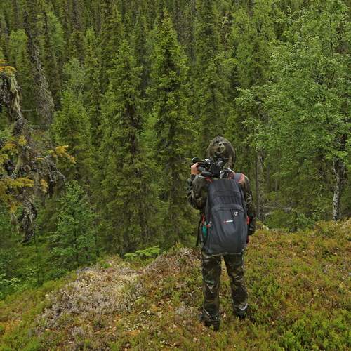 Photo #13745566