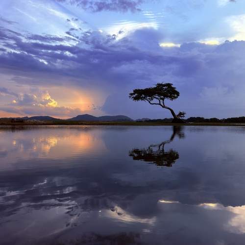 Photo #13745582