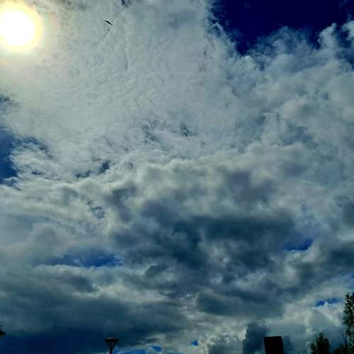 Photo #13745584