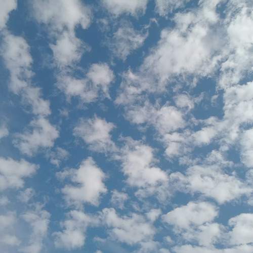 Photo #13745587