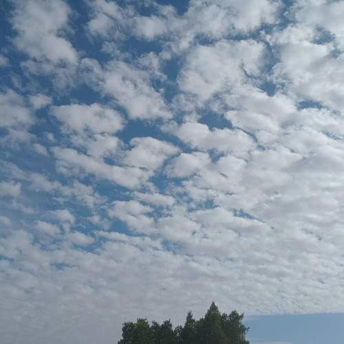 Photo #13745593