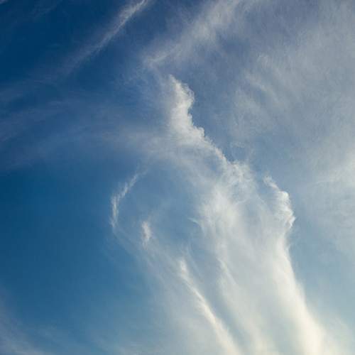 Photo #13745614