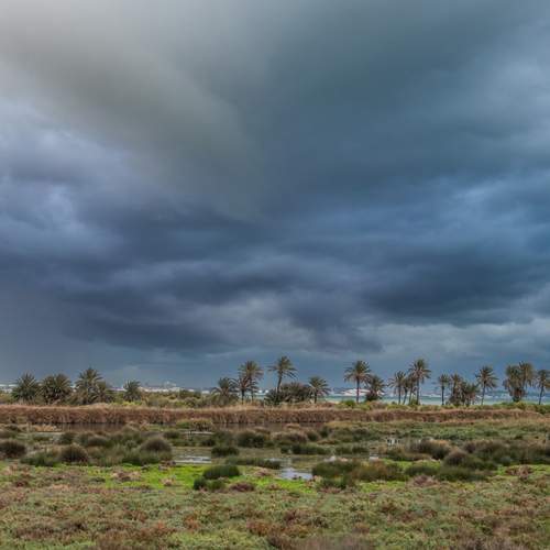 Photo #13745708