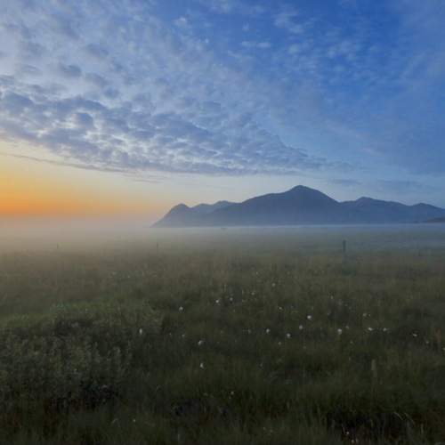 Photo #13745750