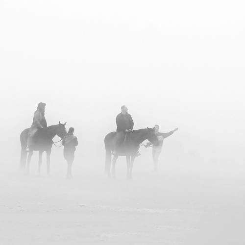 Photo #13745775