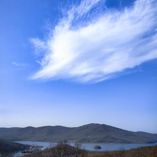 Photo #13745835