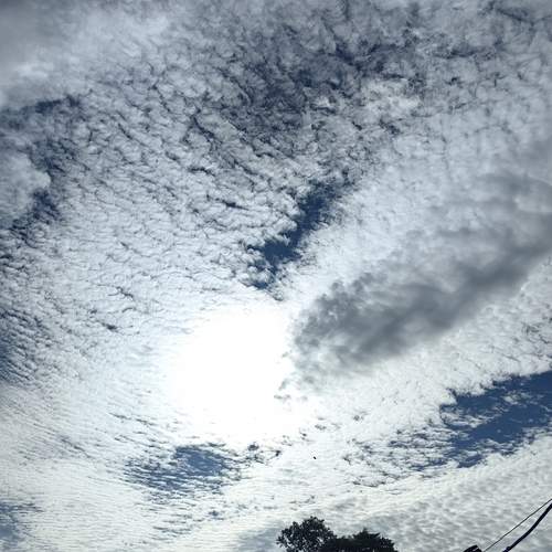 Photo #13745837