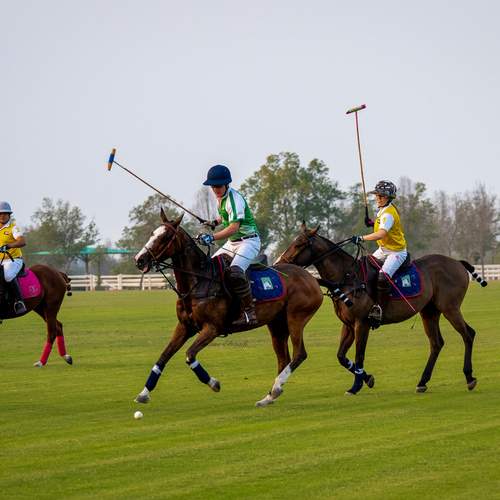 Photo #13745839
