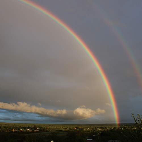 Photo #13745849