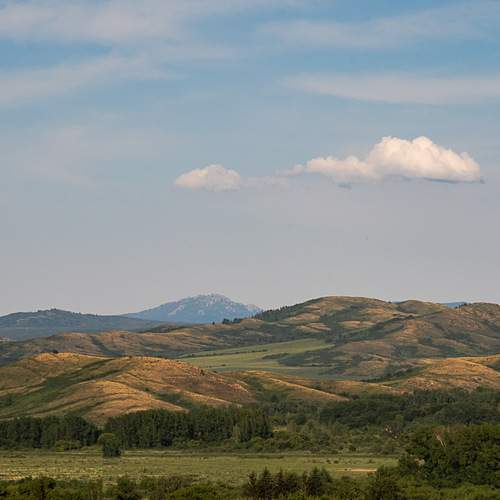 Photo #13745860